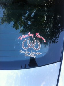 Decal