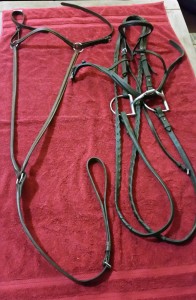 Dirty bridle and breastplate get to be my guinea pigs! If all goes well, then on to the saddle.