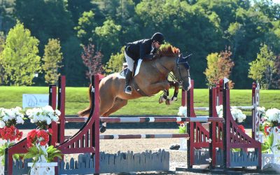 Michael Zukerman Clinic – FAQs